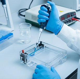 Lab-Tested & Guaranteed